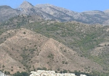 A picture of the smoke visible from the town centre of Nerja on Wednesday.
