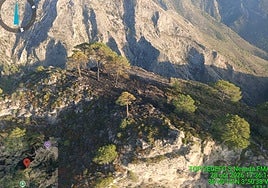 A picture of the area where the fire broke out in the Sierra Almijara in Nerja on Wednesday.