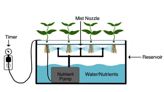 Horticulture in space