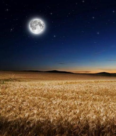 Harvest moon(s)