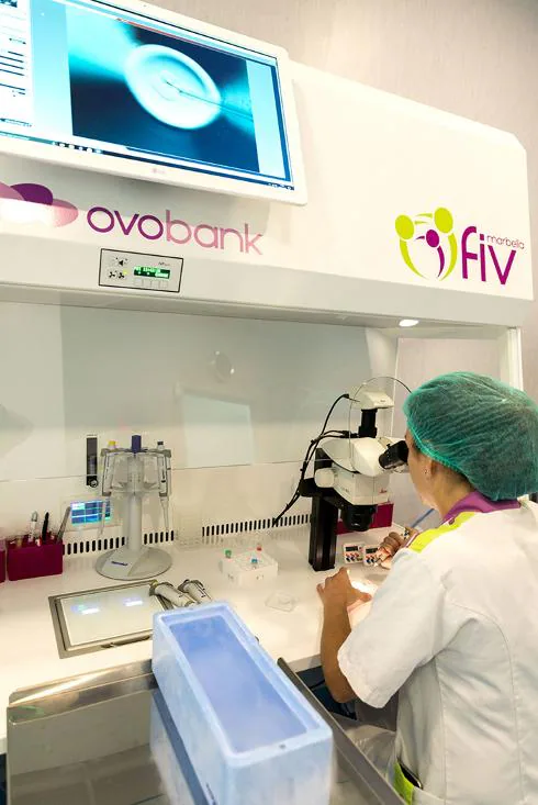 Embryologist at the IVF centre in Marbella and Ovobank. 