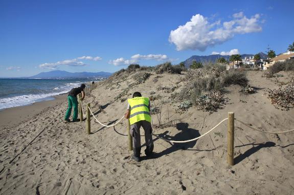 Work has begun on the dunes in Marbella.