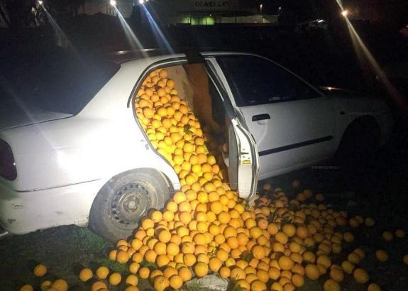 One of the vehicles, filled with oranges.