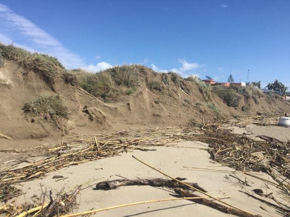 The receding coastline means urgent measures are needed to protect Marbella's dunes