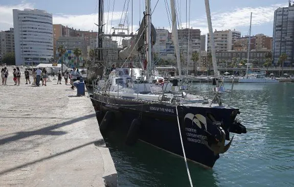 'The Song of the Whale', docked in Malaga.