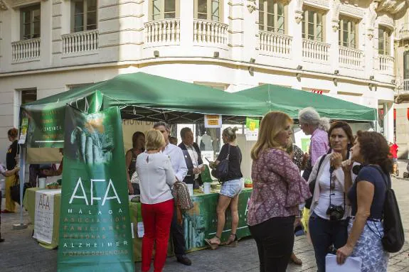 The public awareness stand set up by the local Alzheimer's association AFA in Malaga on 21 September 2017. 