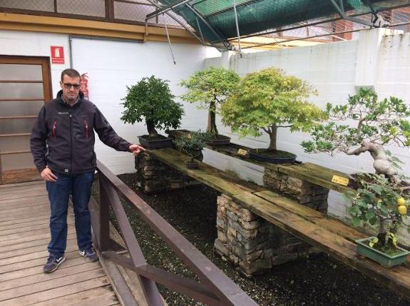 Marbella Bonsai Museum to close its doors for the last time next month