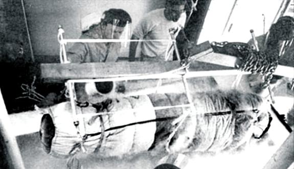  James Bedford's body was cryopreserved.