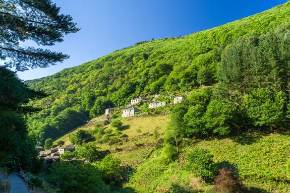 After retiring, Pepe  Rodríguez bought several houses in the hamlet of Teixois, in the municipality of  Taramundi, in Asturias.