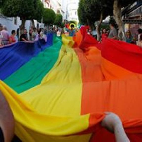 The rainbow flag, a symbol of diversity.