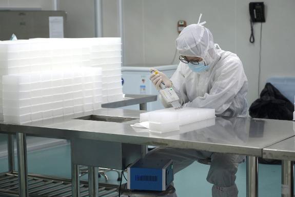A test is carried out on the virus in a Guangzhou laboratory. 