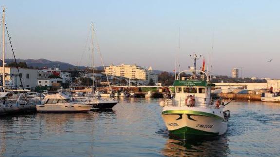 Marbella fishing fleet returns to work with locals encouraged to buy fresh