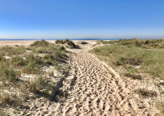  The Andalusian coastline, to be  enjoyed away from crowds. 