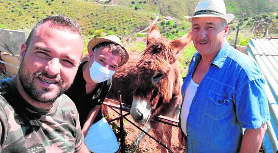 Baldomera, the local donkey that went viral