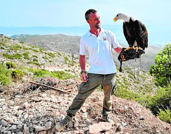 Jan, with an example of the bird which is the symbol of the USA. 