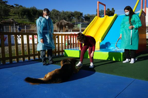 Games with dogs. Part of the therapy takes place in the new inclusive park. 