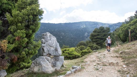 Sierra de las Nieves wins parliament's approval to become a National Park