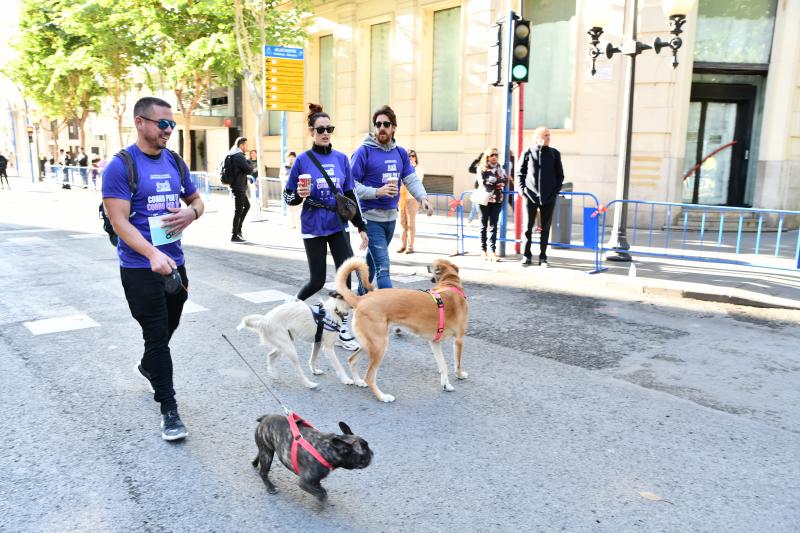 Fotos: ¿Has participado en la carrera contra el cáncer de páncreas?