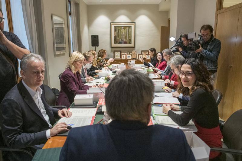 Pleno del Consell celebrado en Alicante.