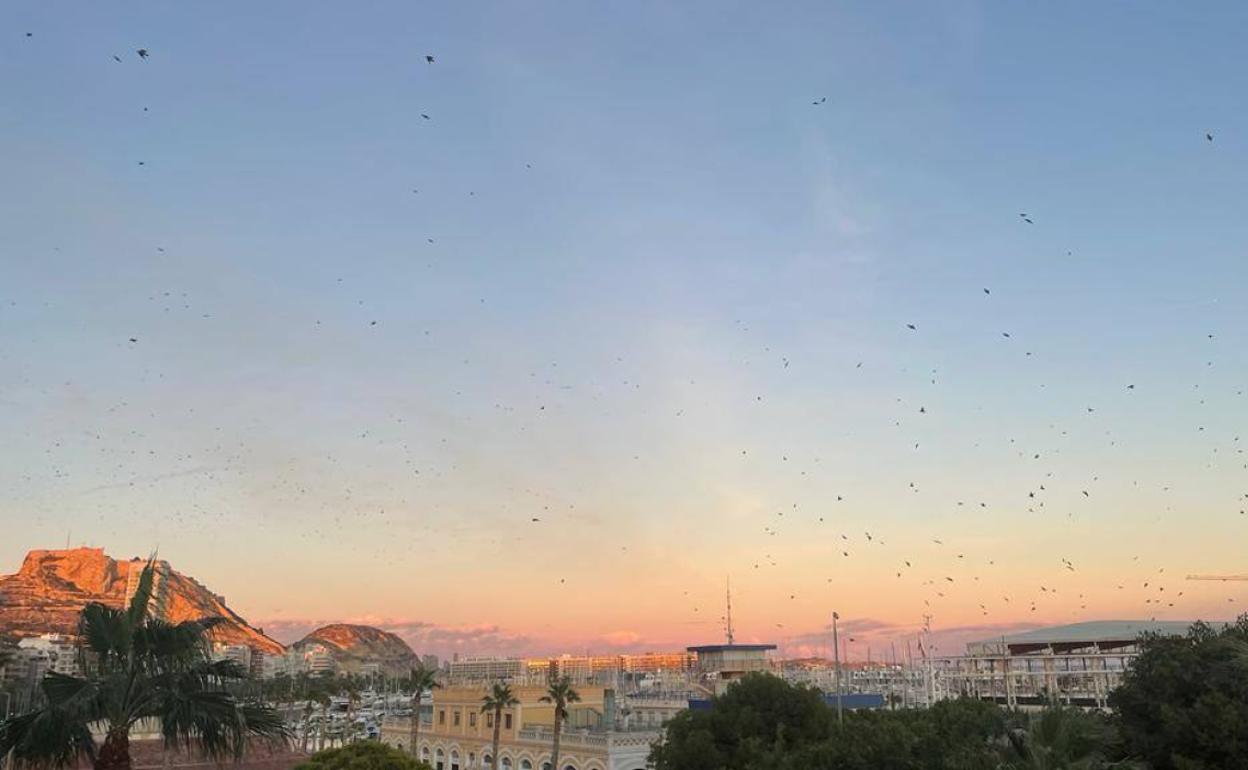 Cielo despejado en Alicante.