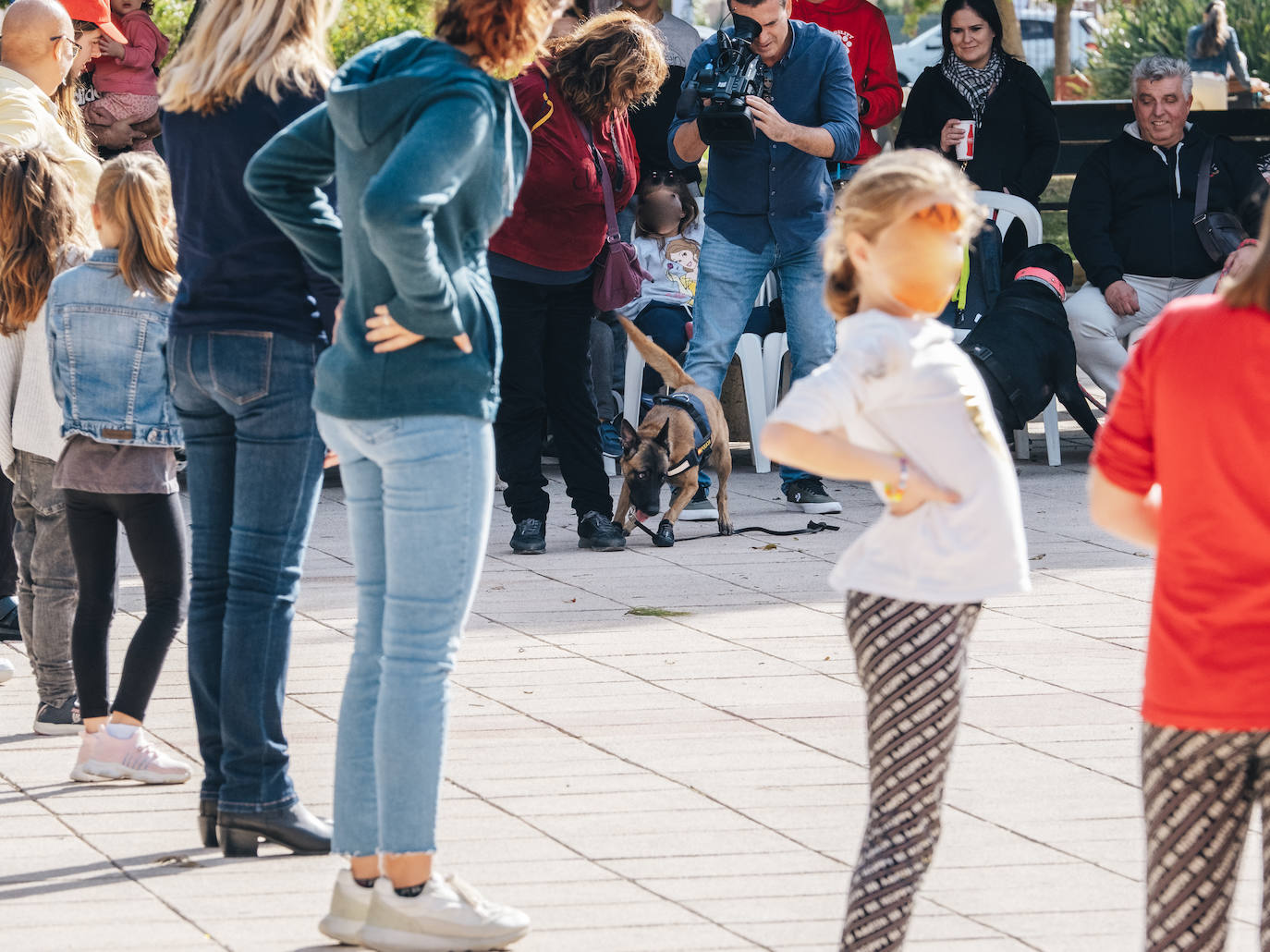 Fotos: Exhibiciones de unidades caninas y mucho amor en el evento &#039;Mi mascota, mi familia&#039;