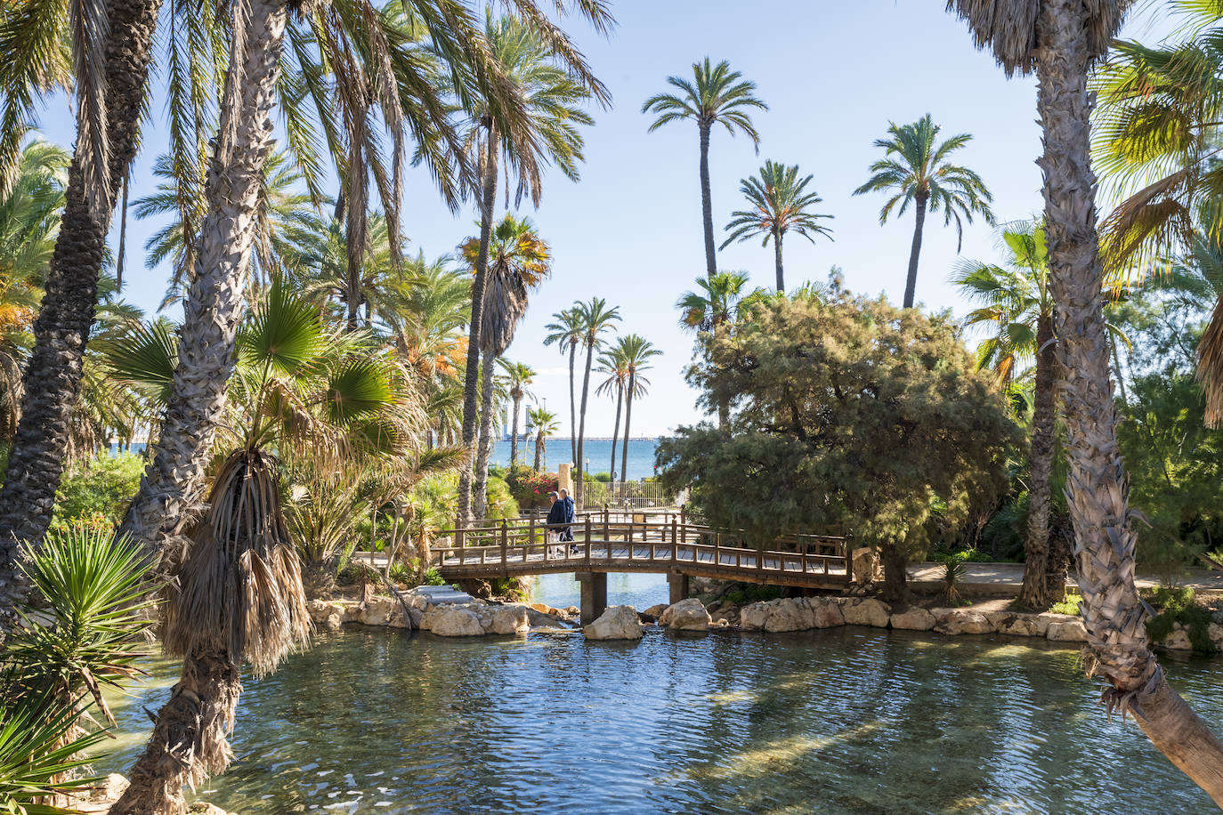 Fotos: El Palmeral, un parque natural frente al mar en Alicante
