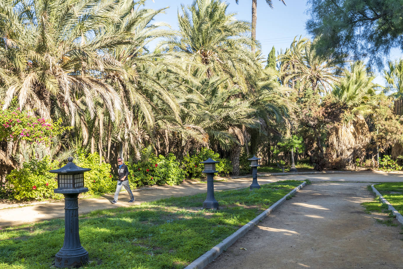 Fotos: El Palmeral, un parque natural frente al mar en Alicante