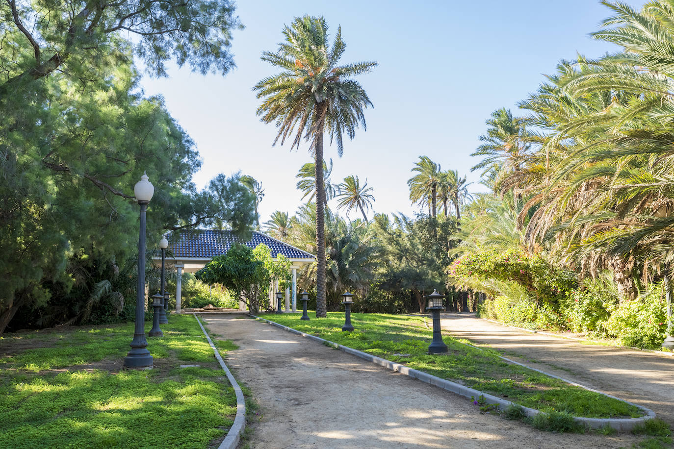 Fotos: El Palmeral, un parque natural frente al mar en Alicante