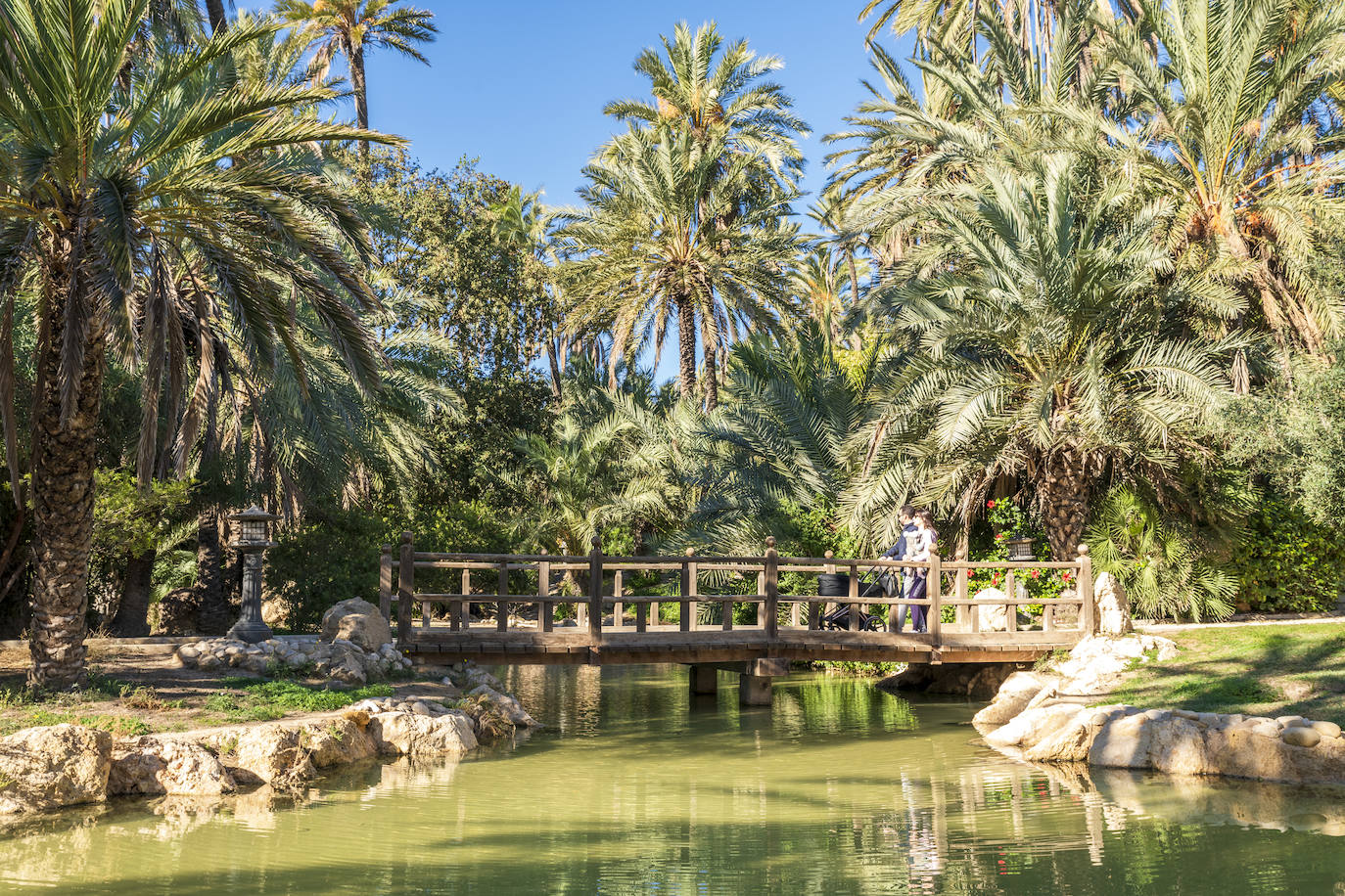Fotos: El Palmeral, un parque natural frente al mar en Alicante