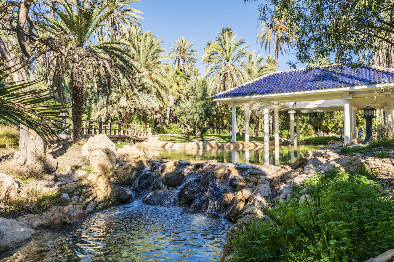Fotos: El Palmeral, un parque natural frente al mar en Alicante
