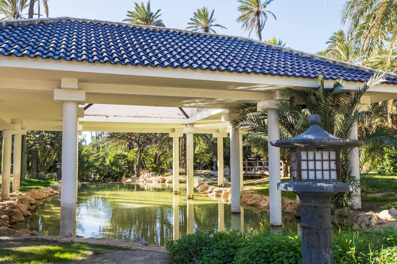 Fotos: El Palmeral, un parque natural frente al mar en Alicante