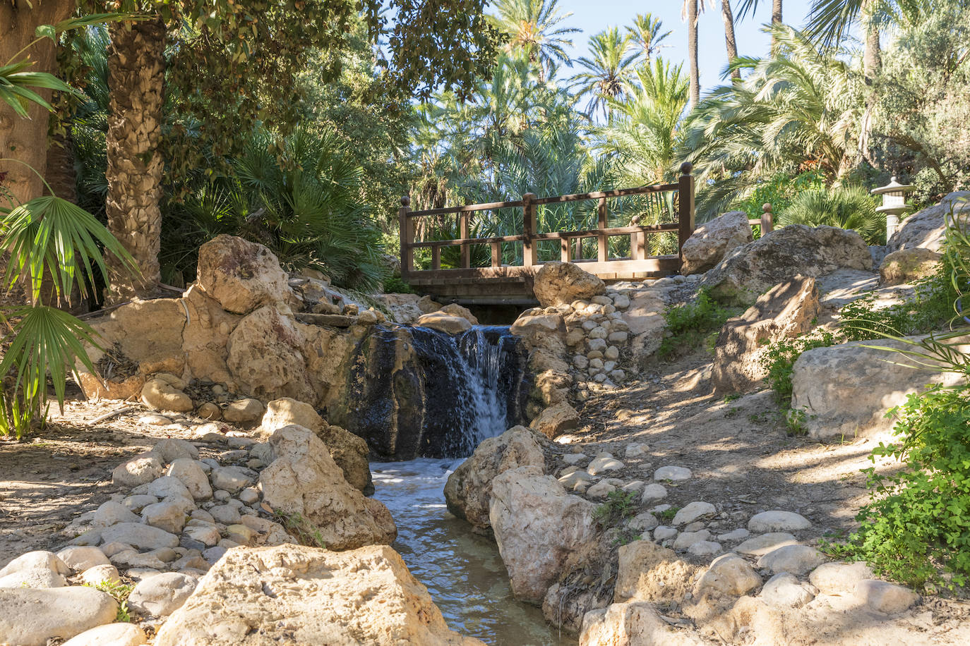 Fotos: El Palmeral, un parque natural frente al mar en Alicante