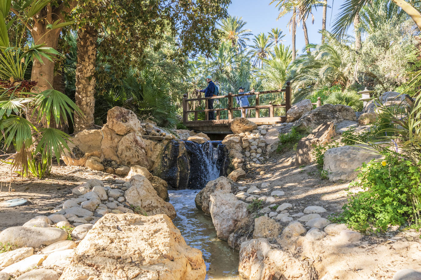 Fotos: El Palmeral, un parque natural frente al mar en Alicante
