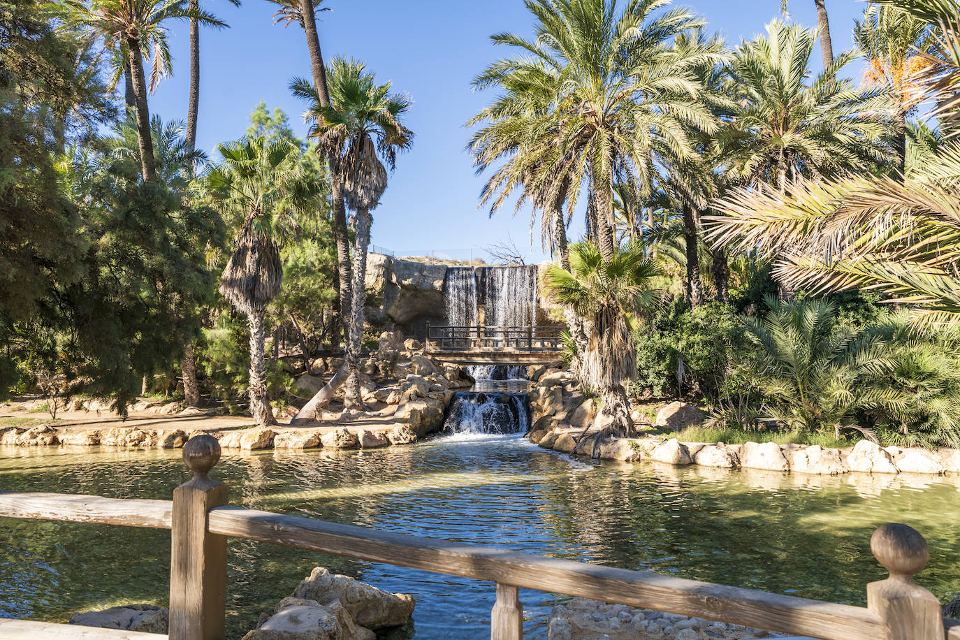 Fotos: El Palmeral, un parque natural frente al mar en Alicante