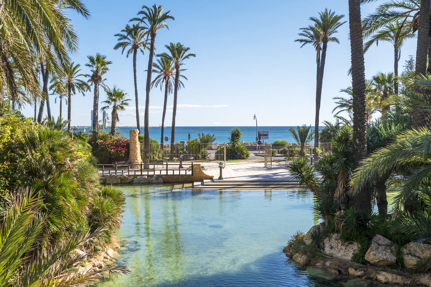 Fotos: El Palmeral, un parque natural frente al mar en Alicante