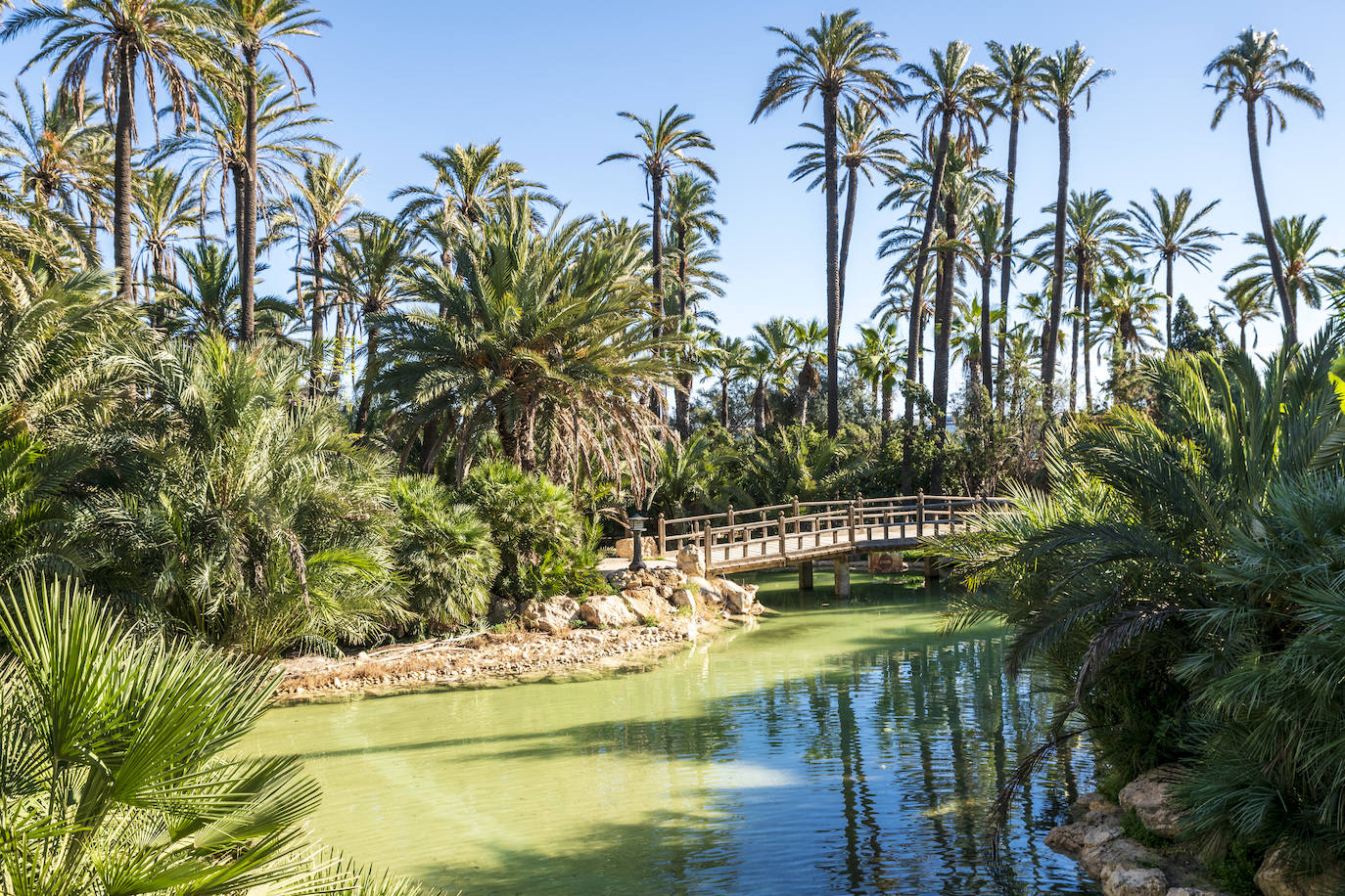 Fotos: El Palmeral, un parque natural frente al mar en Alicante