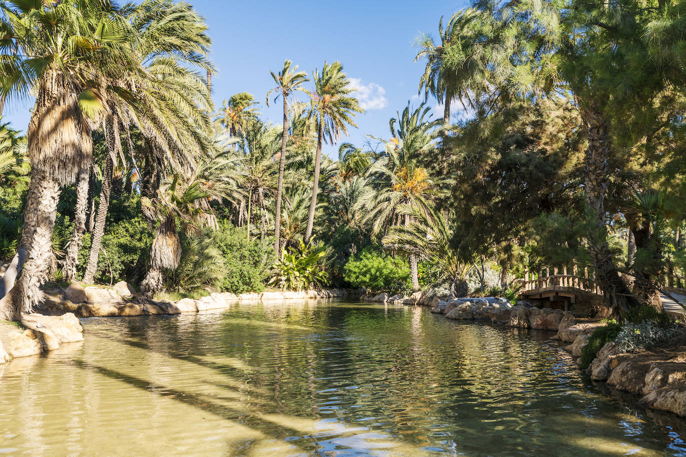 Fotos: El Palmeral, un parque natural frente al mar en Alicante