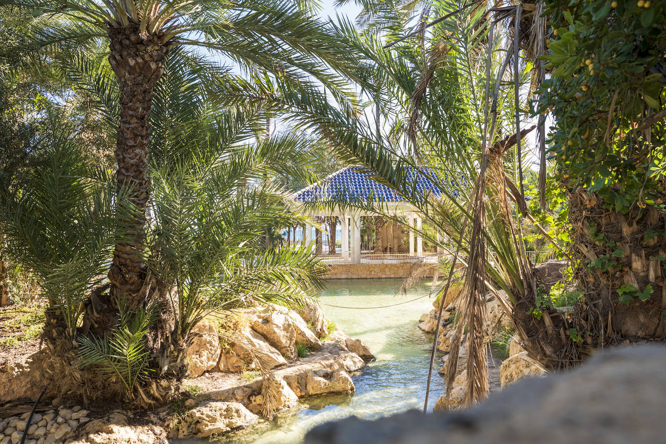 Fotos: El Palmeral, un parque natural frente al mar en Alicante