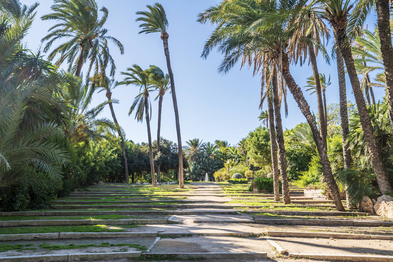 Fotos: El Palmeral, un parque natural frente al mar en Alicante