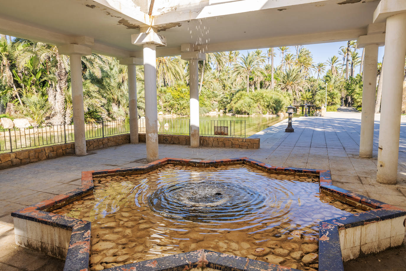 Fotos: El Palmeral, un parque natural frente al mar en Alicante