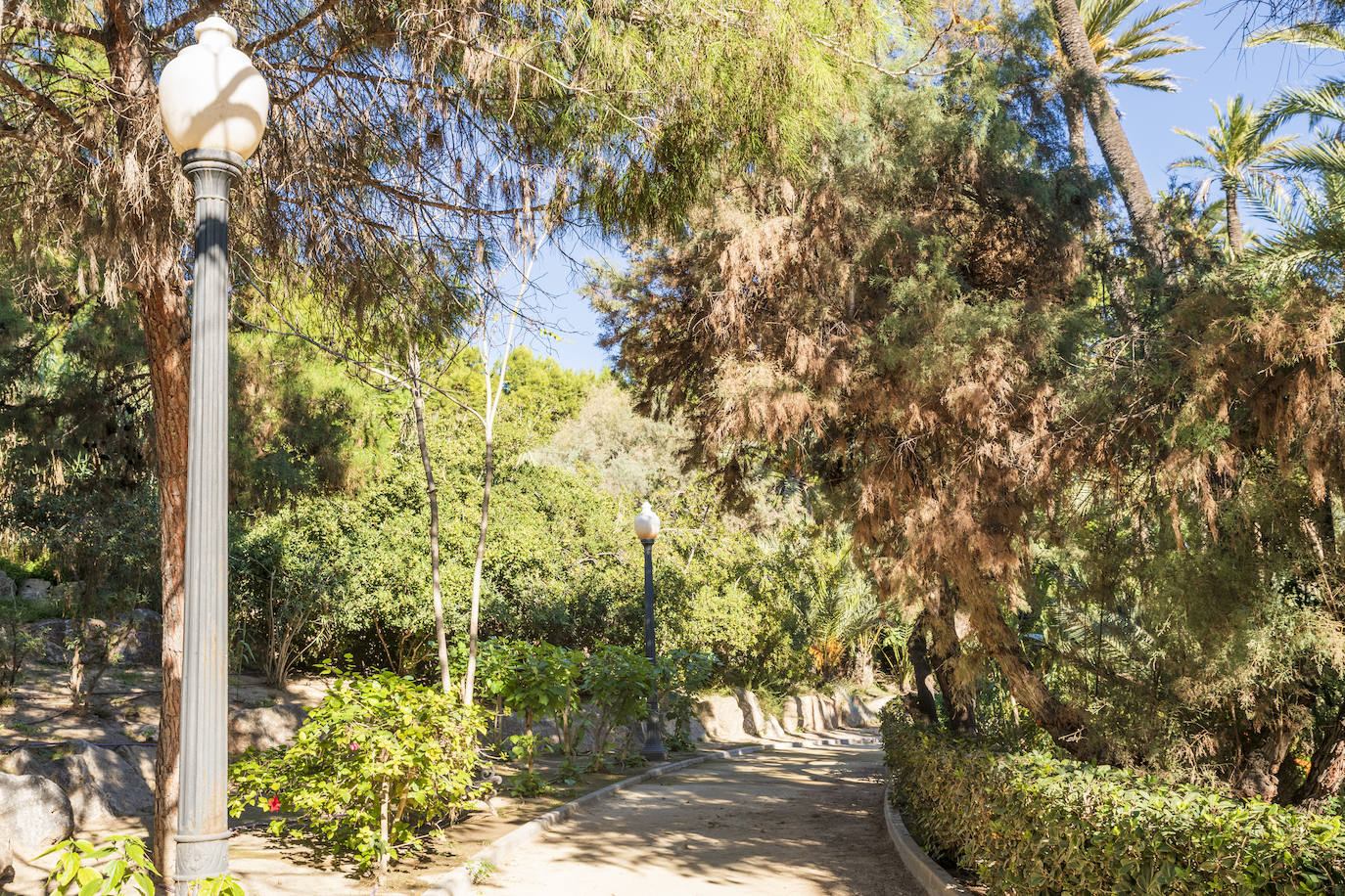 Fotos: El Palmeral, un parque natural frente al mar en Alicante