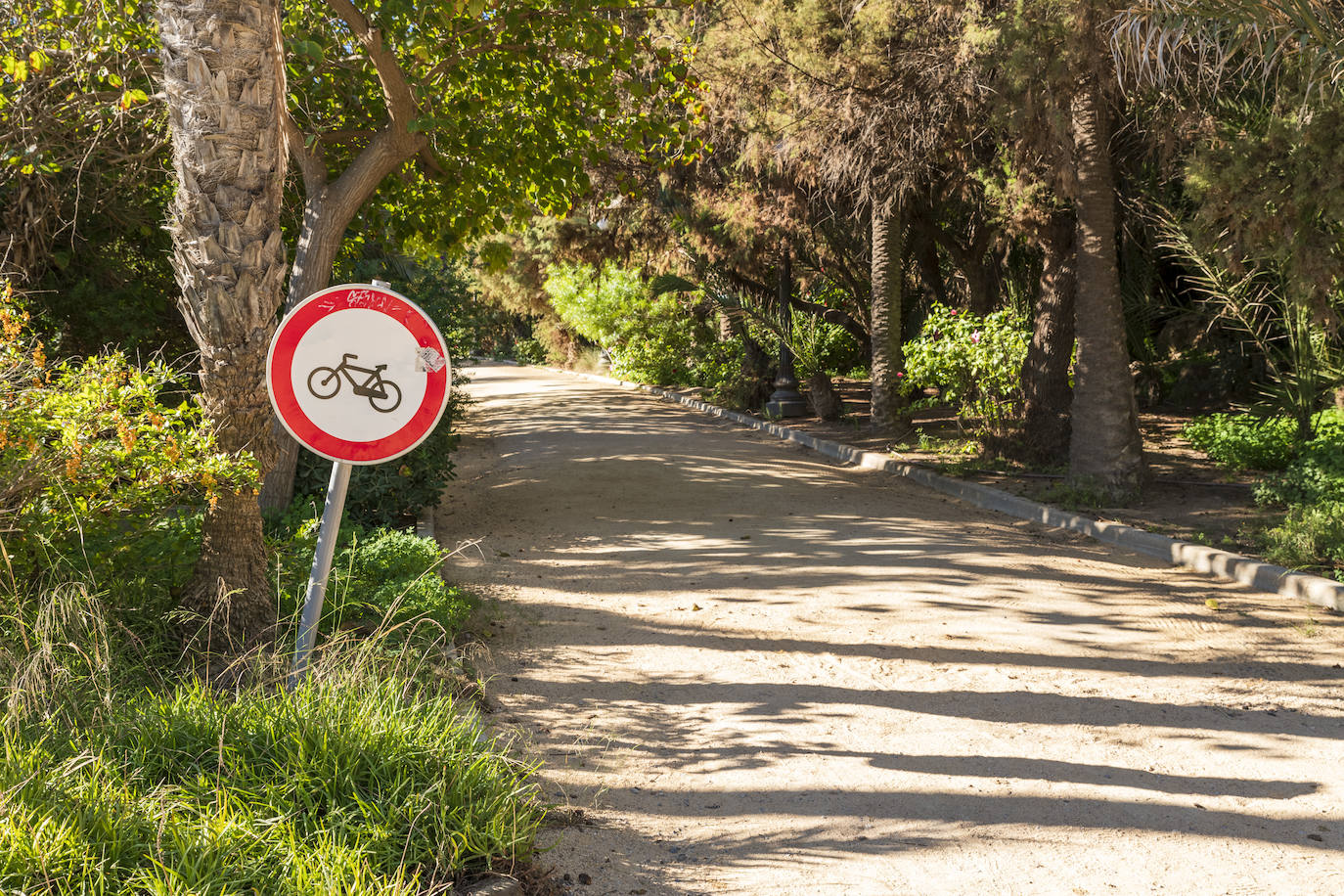 Fotos: El Palmeral, un parque natural frente al mar en Alicante