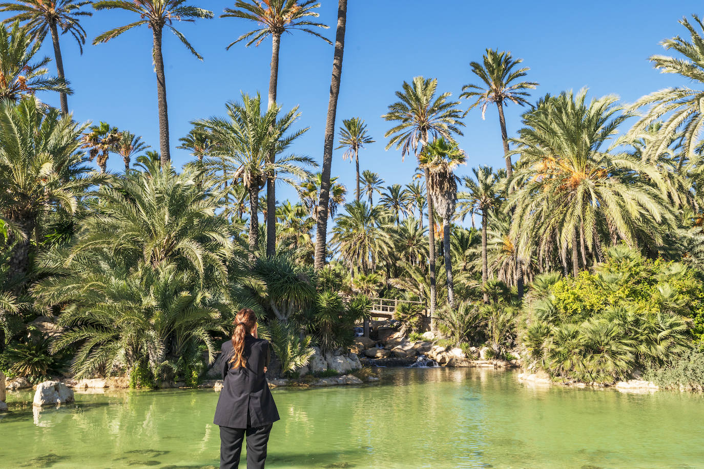 Fotos: El Palmeral, un parque natural frente al mar en Alicante