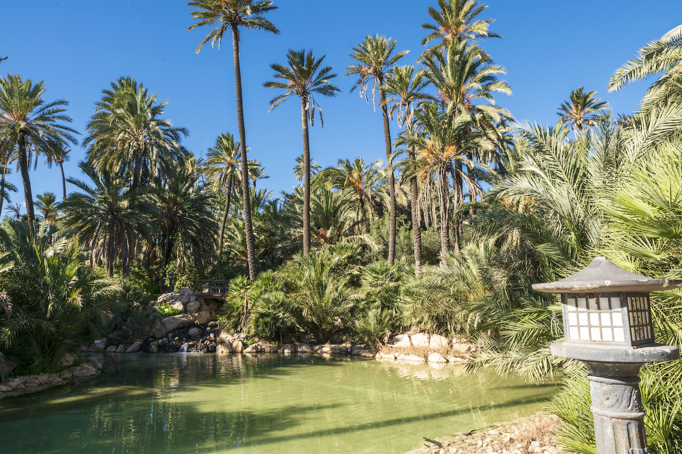 Fotos: El Palmeral, un parque natural frente al mar en Alicante