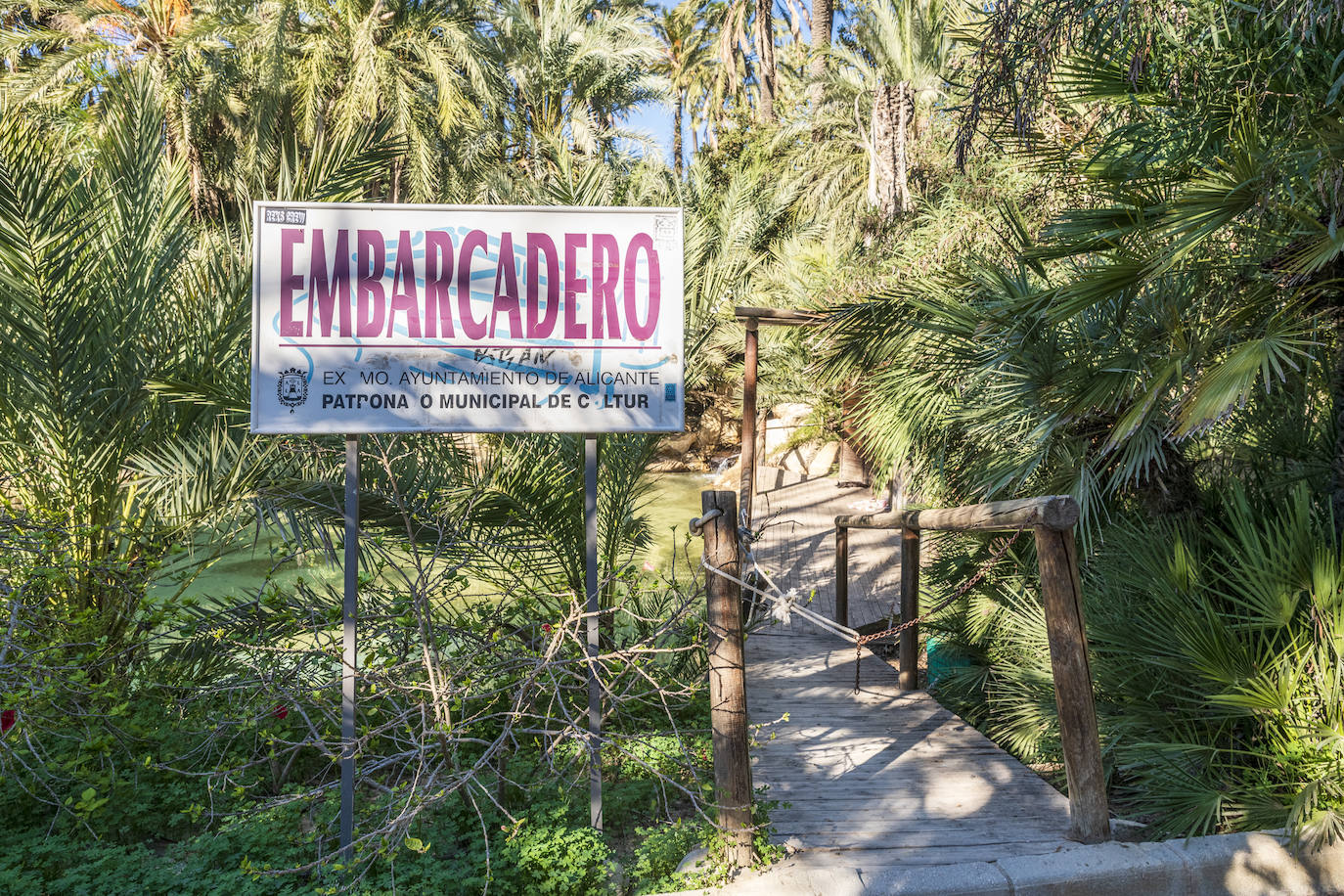 Fotos: El Palmeral, un parque natural frente al mar en Alicante