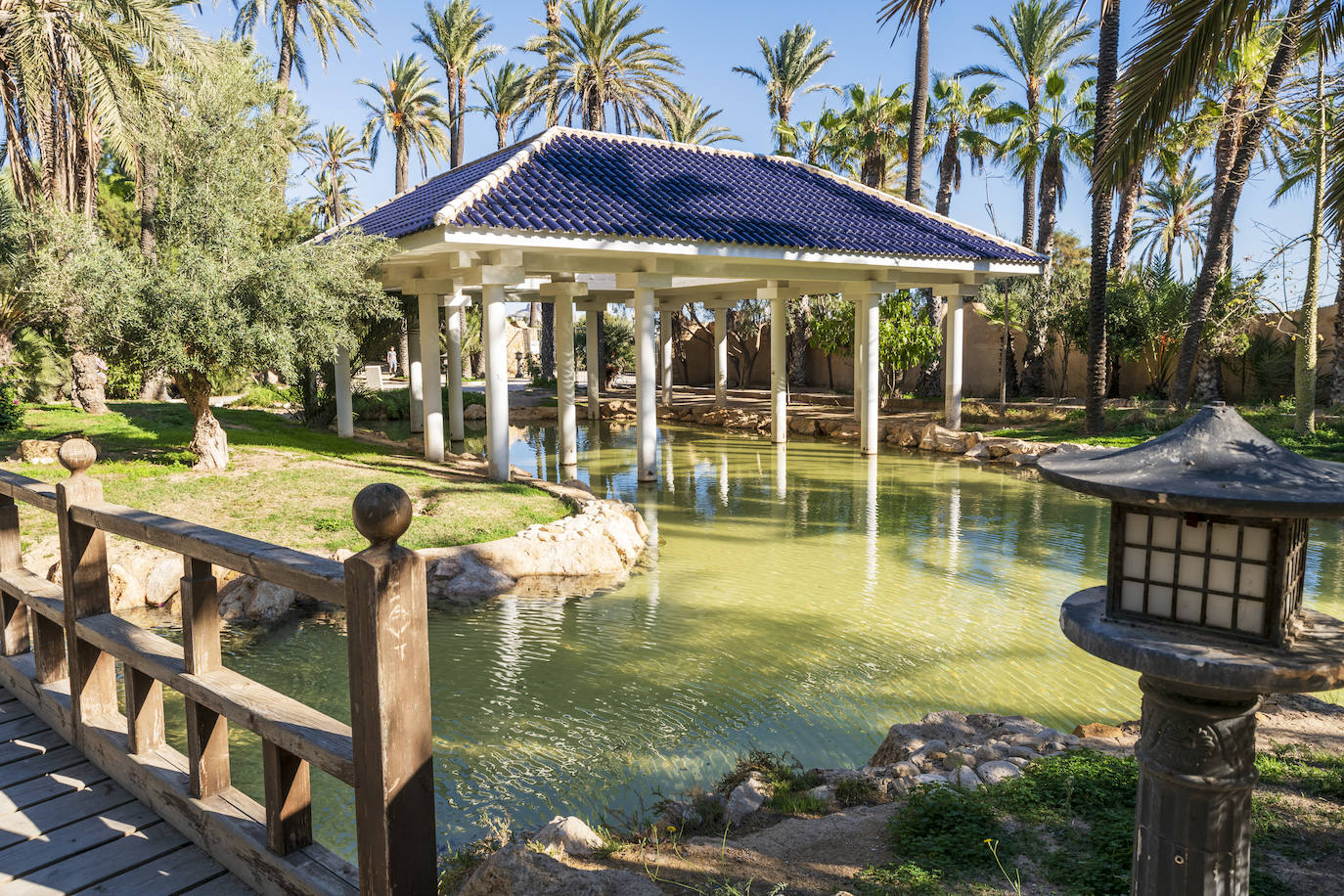 Fotos: El Palmeral, un parque natural frente al mar en Alicante