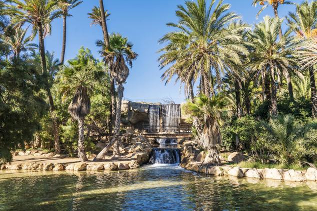 Fotos: El Palmeral, un parque natural frente al mar en Alicante