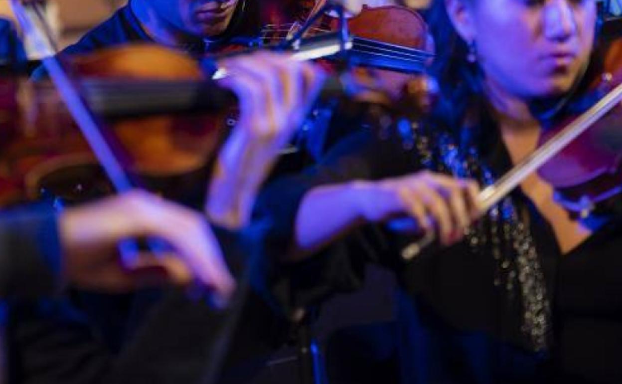 Detalle de la sección de cuerda de una orquesta sinfónica.