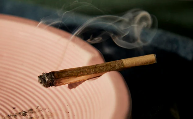 Advertencia de los expertos ante la inminente regulación del cannabis medicinal: «no hay evidencias que avalen su consumo fumado»
