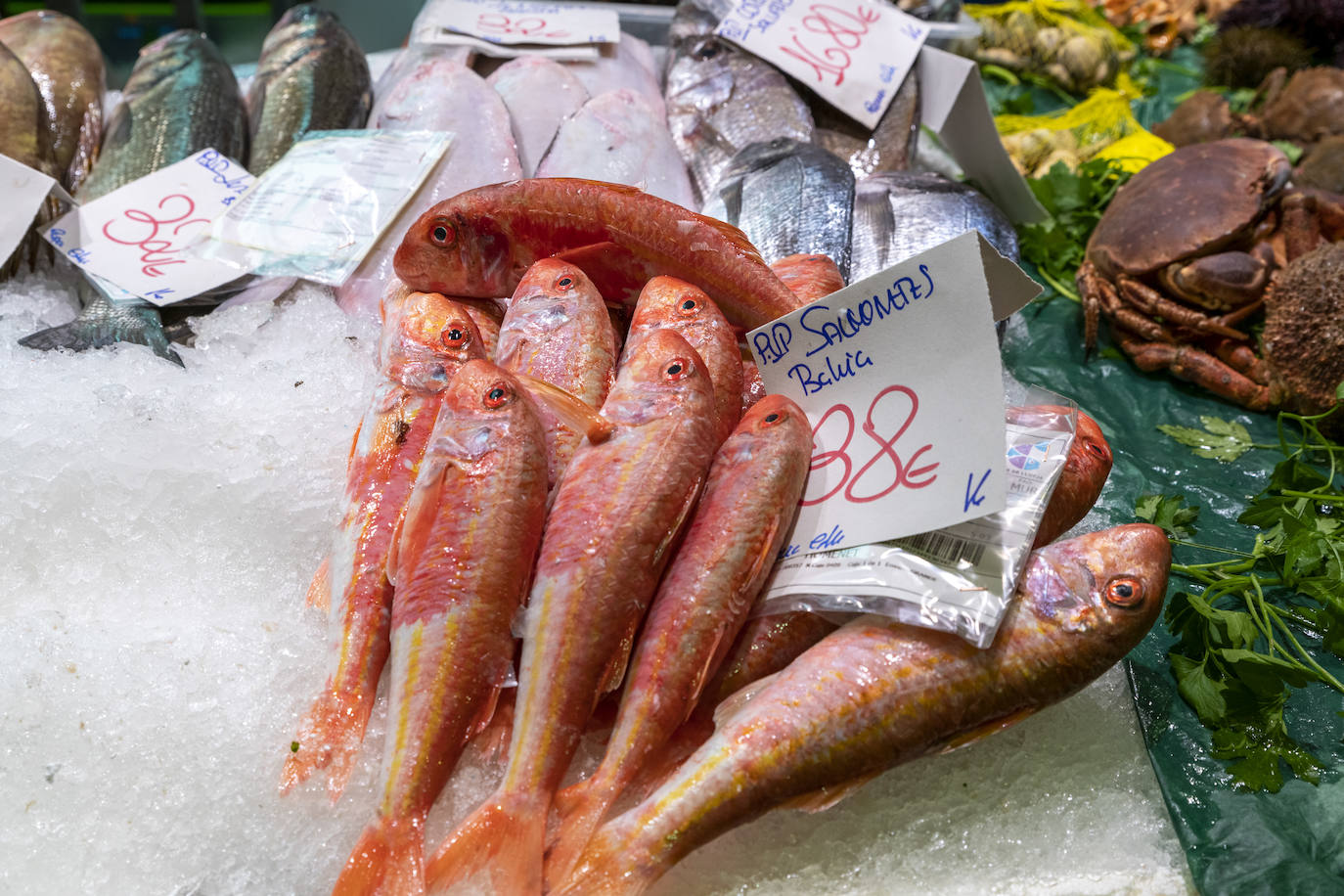 Fotos: El Mercado Central de Alicante se viste de Navidad